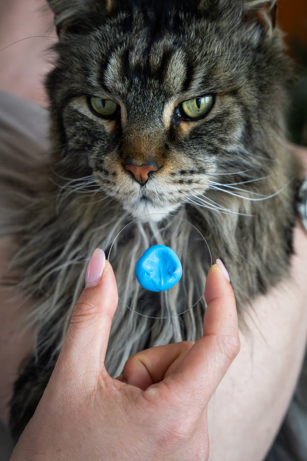 Luis (round pendant)