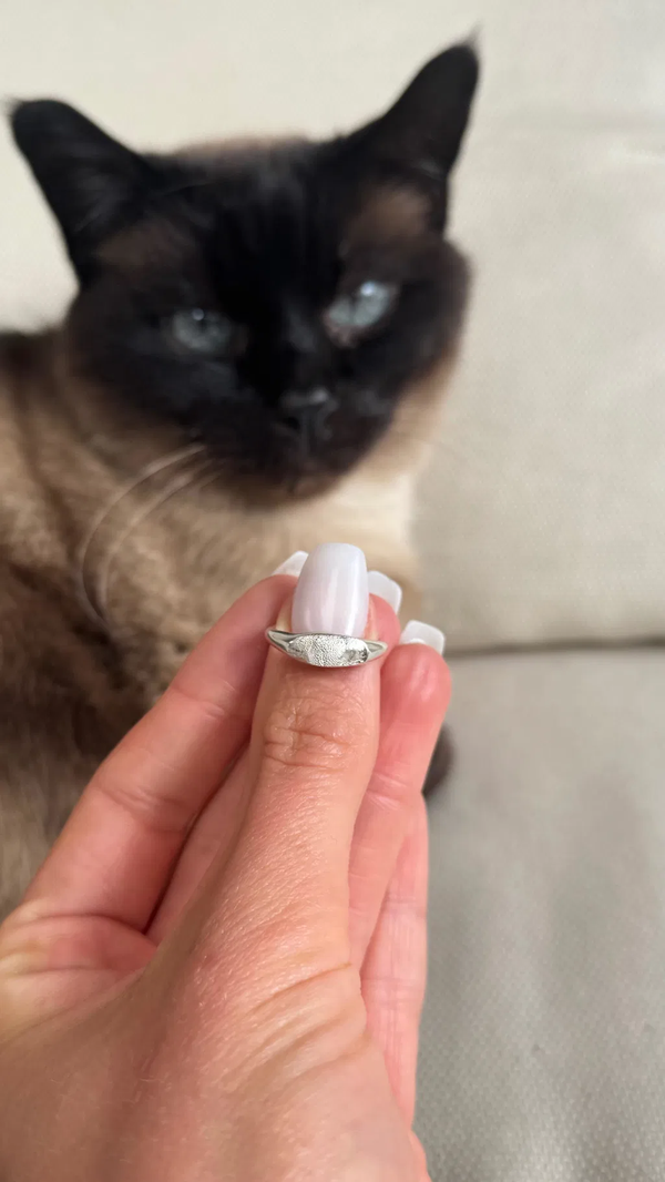 Keetje, Siamese (minimal signet ring)
