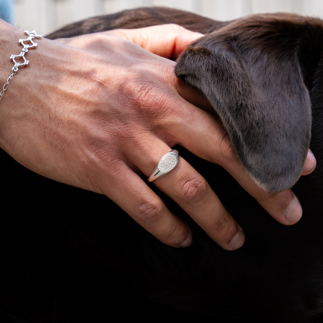 Snoetjes Signet Ring-thumbmail-4