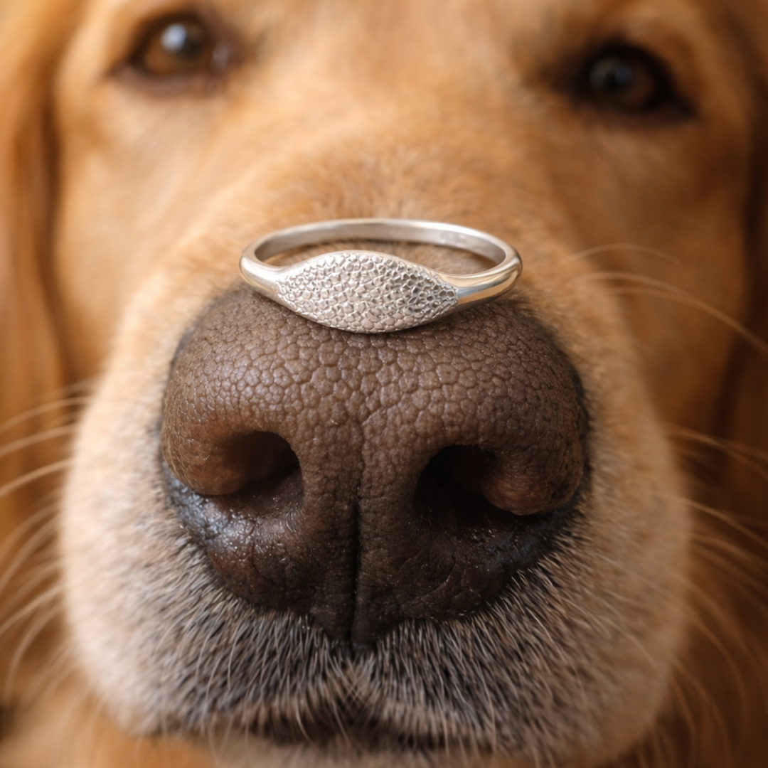 Snoetjes Minimal Signet Ring-thumbmail-4